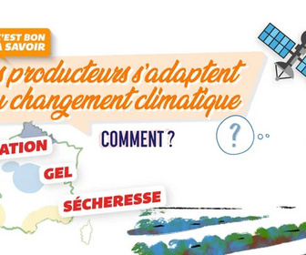 Replay C'est bon à savoir - Le changement climatique impacte les cultures. Comment ?