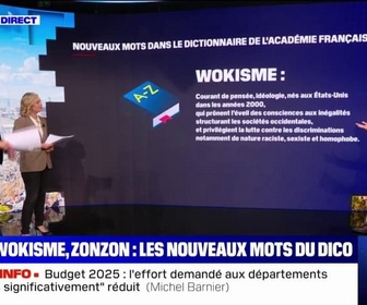 Replay Pourquoi tant de commentaires sur le Dictionnaire de l'Académie française? BFMTV répond à vos questions