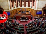Replay 100% Sénat - Consentement dans la définition pénale du viol : le Sénat adopte le texte