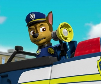 Replay Paw Patrol, la Pat'Patrouille - La Pat'Patrouille et les écureuils