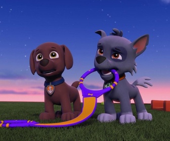 Replay Paw Patrol, la Pat'Patrouille - La famille chauves-souris