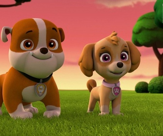 Replay Paw Patrol, la Pat'Patrouille - Sauvetage extrême : Mystérieuses disparitions