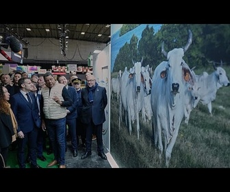 Replay Dermatose, droits de douane, violence politique : les annonces de Macron au Salon de l'agriculture