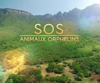 Replay SOS animaux orphelins - 09/10/2025