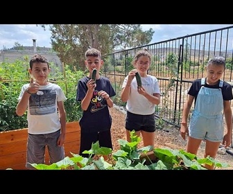 Replay Crise climatique : Chypre sensibilise les enfants à travers le projet de plantation Greening