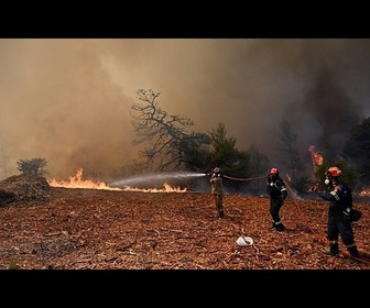 Replay Athènes : pompiers et hélicoptères combattent un incendie de forêt