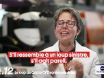 Replay Le grand top 20 du Petit Q (Partie 2)