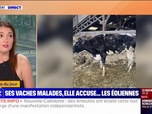 Replay L'image du jour - Vaches malades: l'appel à l'aide d'une éleveuse qui accuse les éoliennes