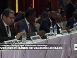 Replay Journal de l'Afrique - Sommet sur les minerais critiques à Abidjan : l'Afrique veut transformer davantage