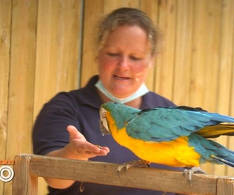 Replay Une saison au zoo - S13 E48