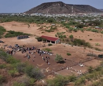 Replay L'actualité à travers le monde - Au Kenya, l'impact des crédits carbone