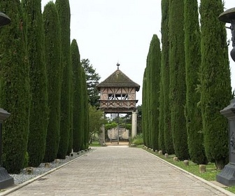 Replay Tunisie / Arizona / Ain - Invitation au voyage