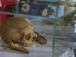 Replay Focus - Allemagne : les ossements de la colonisation, un lourd fardeau historique