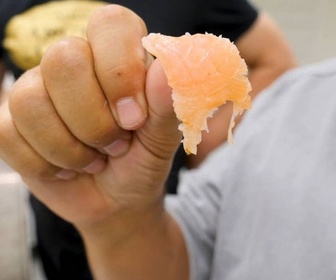 Replay Les globe-pêcheurs en Norvège - 21/12/2025