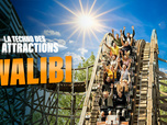 Replay Walibi : la techno des attractions