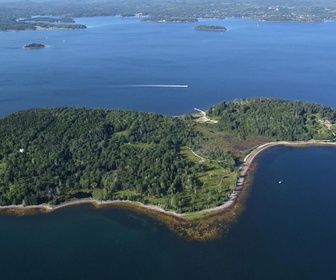 Replay Le mystère d'Oak Island : la course au trésor - S9E2 - On vise l'or - Partie 2
