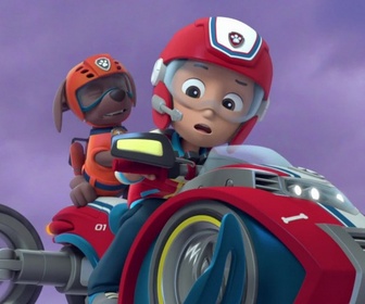 Replay Paw Patrol, la Pat'Patrouille - La Pat'Patrouille et les jumeaux