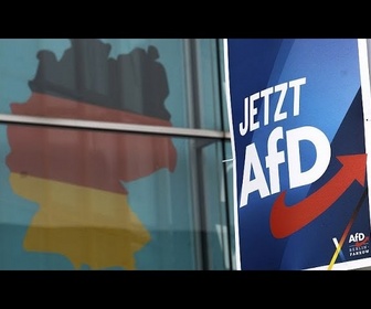 Replay Allemagne : la mort de sept candidats de l'AfD déclenche rumeurs et théories complotistes