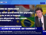 Replay Le Dej Info - Accord UE/Mercosur : qui y gagnerait ? - 18/11