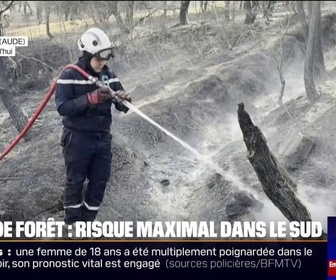 Replay 20H BFM - Feux de forêt: risque maximal dans le sud de la France