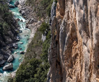 Replay Voyage au coeur des Alpes - 24/01/2026