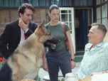 Replay Rex, chien flic - 31/08/2026