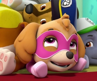Replay Paw Patrol, la Pat'Patrouille - Le festival de cinéma