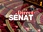 Replay En direct du Sénat