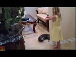 Replay Hell's cat : mon chat est un cauchemar - S6E2 - Chat au foyer d'Orange County