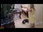 Replay Hell's cat : mon chat est un cauchemar