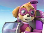 Replay Paw Patrol, la Pat'Patrouille - S01 E10 - La course en montgolfière