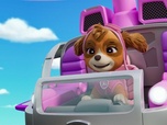 Replay Paw Patrol, la Pat'Patrouille - Le robot-canard géant