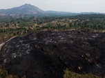 Replay Urgence climatique : un défi mondial - Portugal: l'eucalyptus, allumette géante