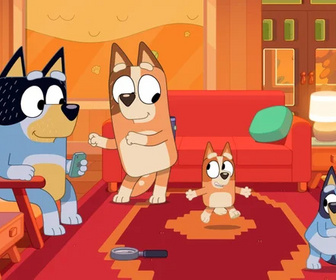 Replay Bluey - 26/04/2026