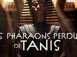 Replay Les pharaons perdus de Tanis