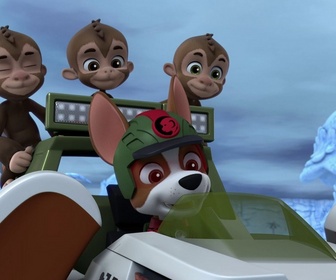 Replay Paw Patrol, la Pat'Patrouille - Mission Jungle : Le tigre à dents de sabre
