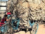 Replay Les cultivateurs de la fibre d'or au Bangladesh