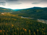 Replay Alaska, la ruée vers l'or - S14E20 - Le nouveau joujou de Parker