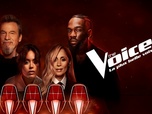 Replay The Voice