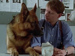 Replay Rex, chien flic - L'homme aux mille visages