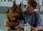 Replay Rex, chien flic