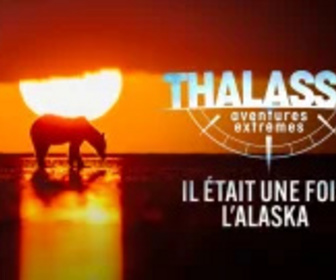 Replay Thalassa, aventures extrêmes - 10/03/2025