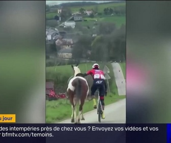 Replay L'image du jour - Ce cycliste parvient à maîtriser un cheval affolé qui s'est joint à une course en Belgique