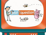 Replay 1 jour, 1 question - 11/05/2026