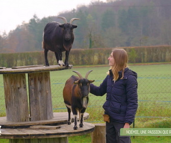 Replay L'hebdo des animaux - S1E7 - Episode 7