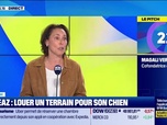 Replay Good Morning Business - Le Pitch : Unleaz, louer un terrain pour son chien - 30/04