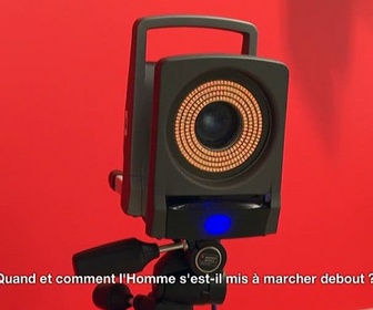 Replay E=M6 Family - Dinosaures hommes chats et chiens de la préhistoire à aujourd'hui : comment se sont-ils transformés ?