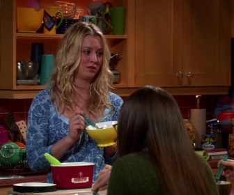 Replay The Big Bang Theory - S4E19 - L'intrusion de Zarnecki