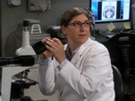 Replay The Big Bang Theory - S10E8 - Super cerveau dans un incubateur !