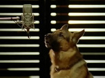 Replay Rex, chien flic - Droits d'auteurs
